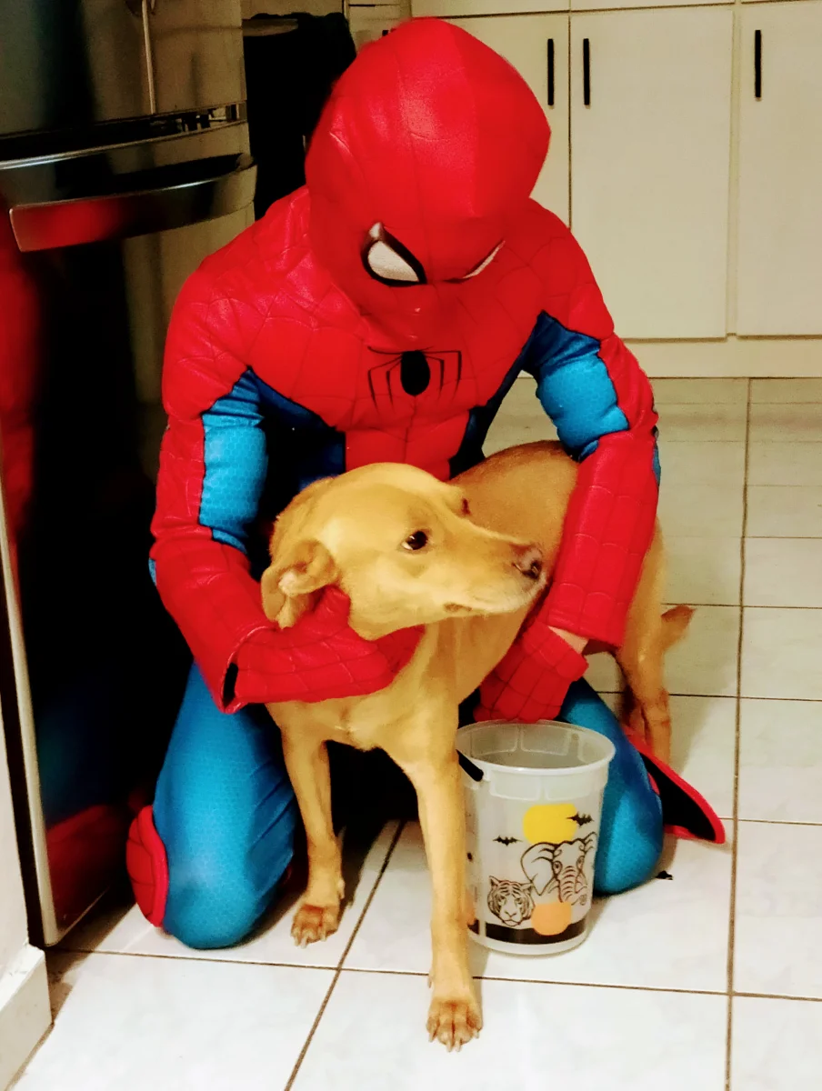 Mascota