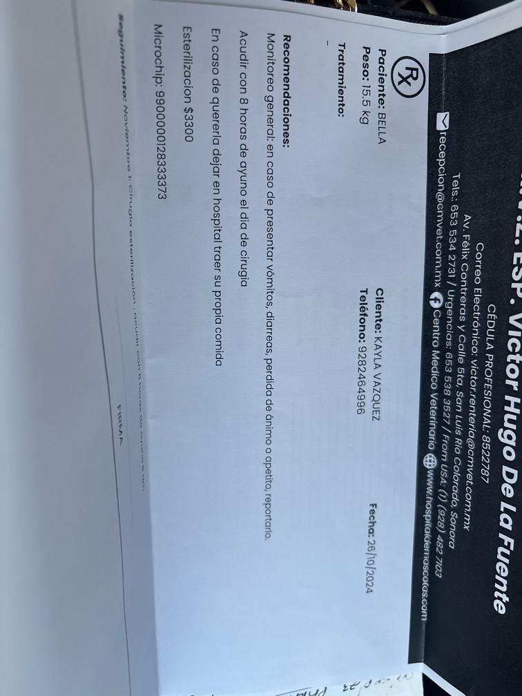 Foto de Bella con microchip 990000012833337