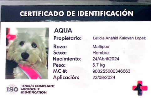 Foto de Aqua con microchip 900255000346663