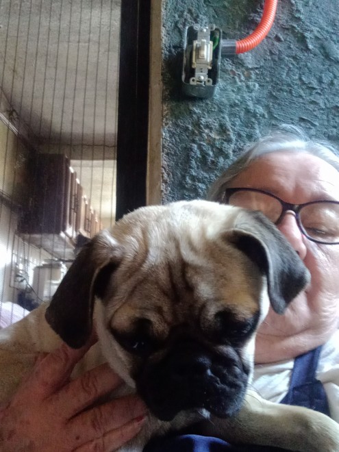 Foto de Gina Peña con microchip 990000012824336