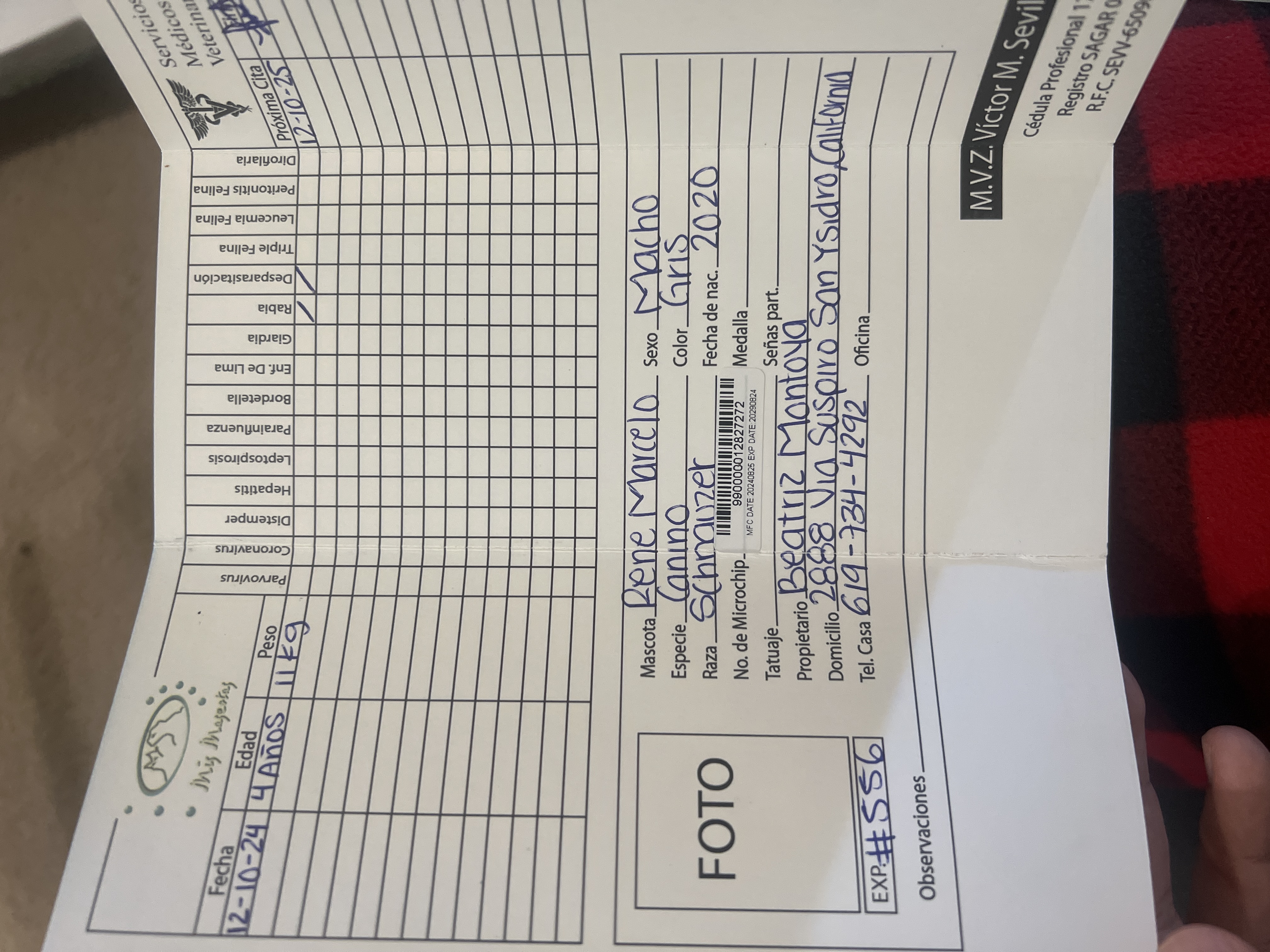 Foto de Rene Marcelo con microchip 990000012827272