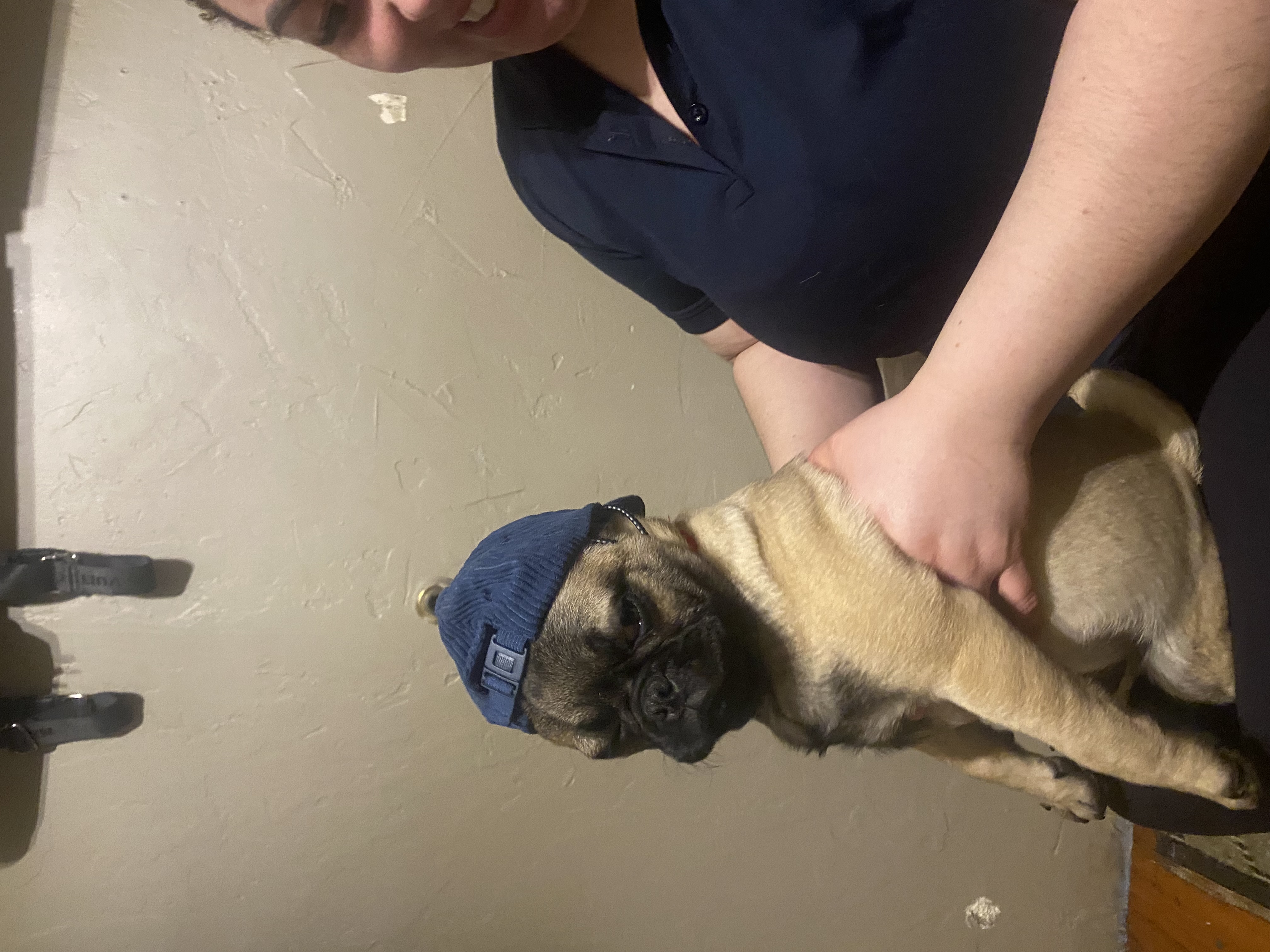 Foto de Bruno con microchip 990000012827107