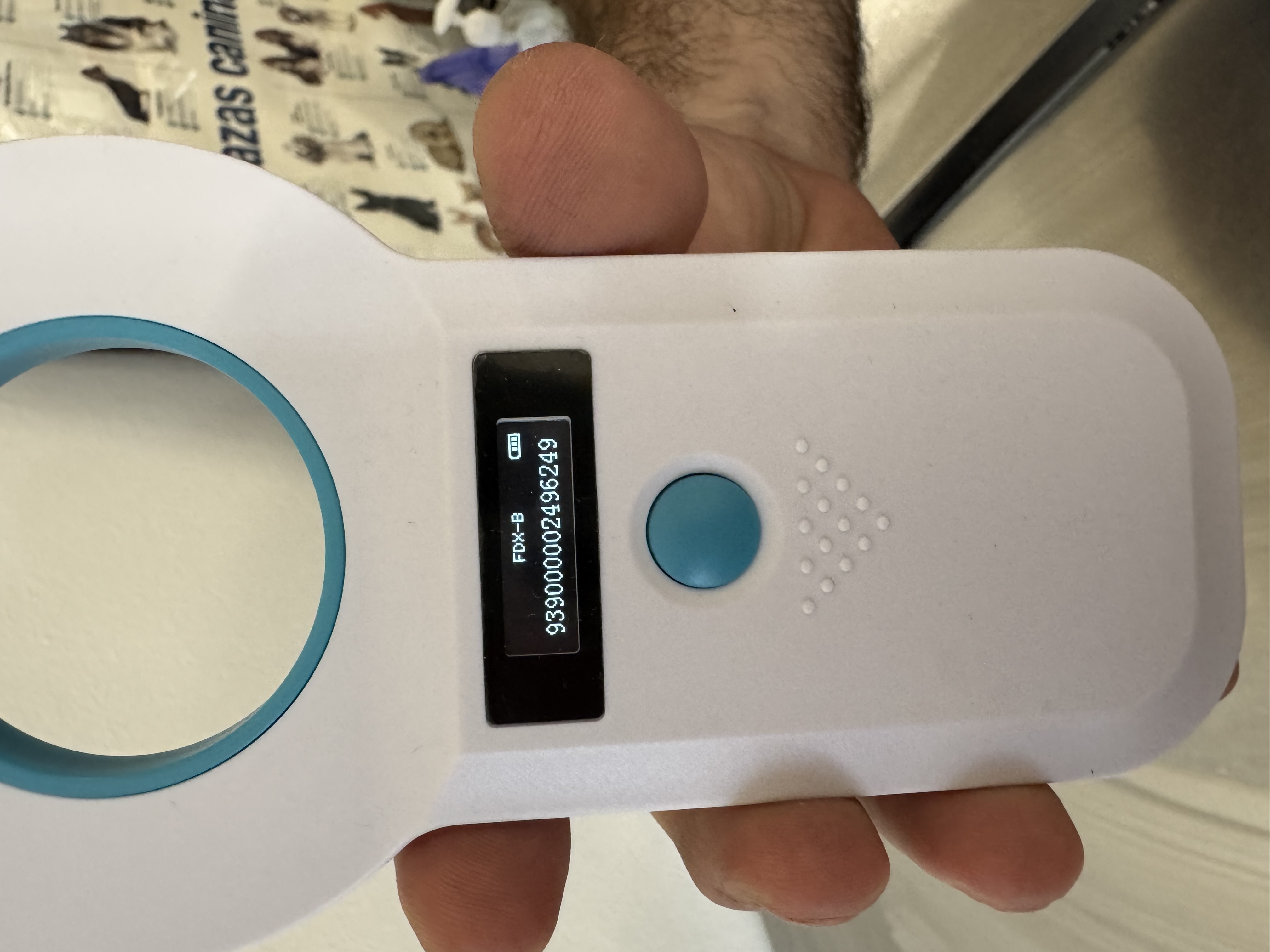 Foto de Matcha con microchip 939000002496249