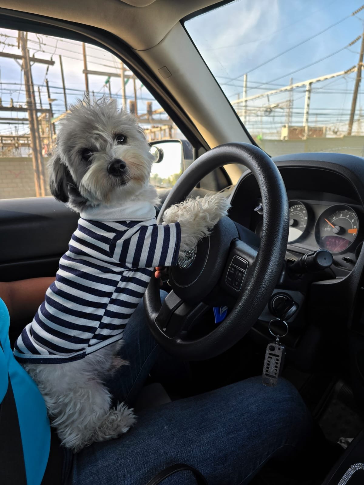 Foto de Milo Montoya Aceves con microchip 990000014162605