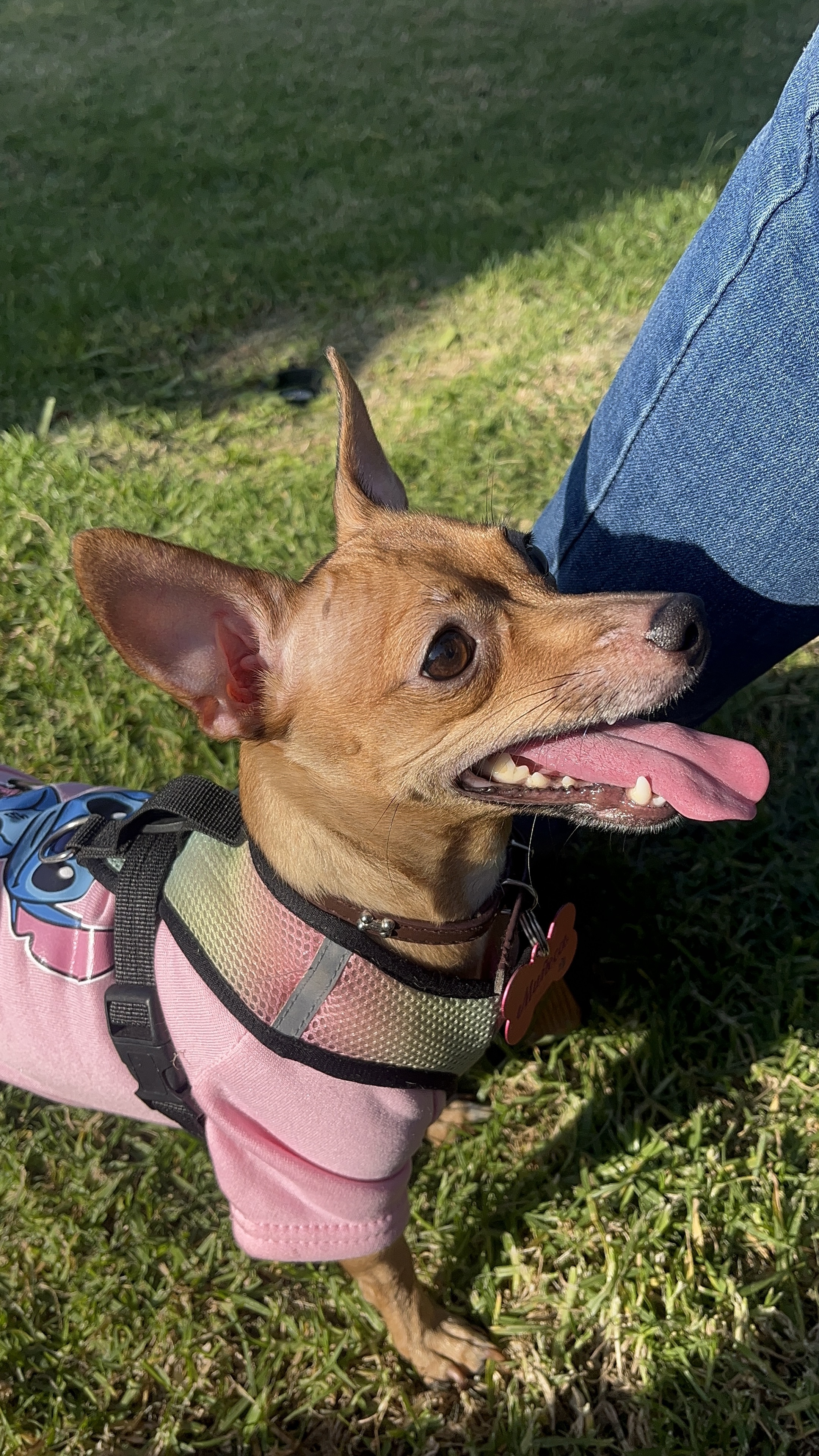 Foto de Muñeca con microchip 990000012843634