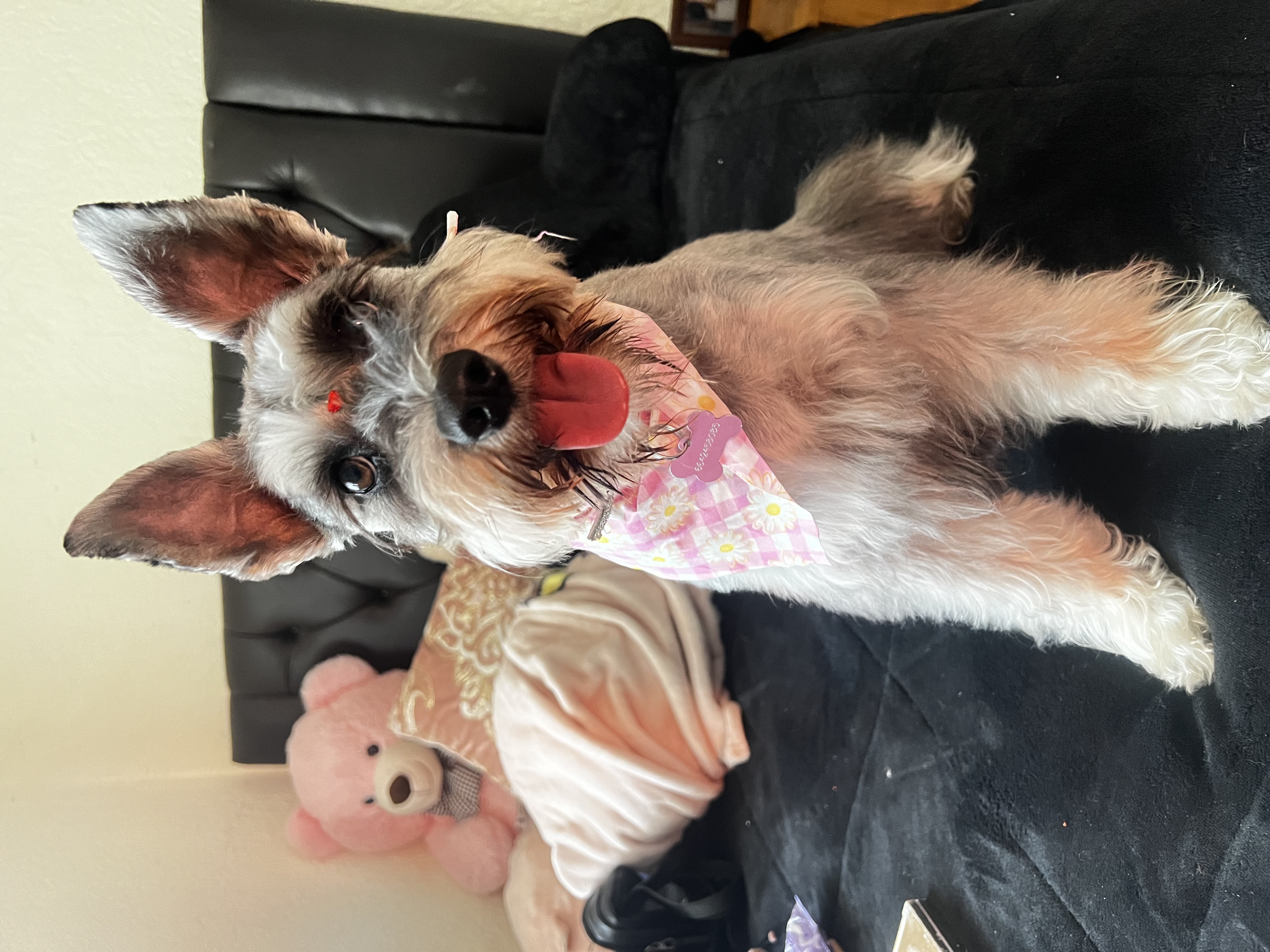 Foto de Barbie con microchip 990000012834539