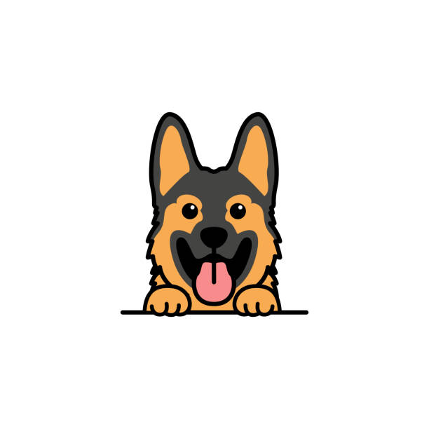 Foto de Ruperta con microchip 990000014109023
