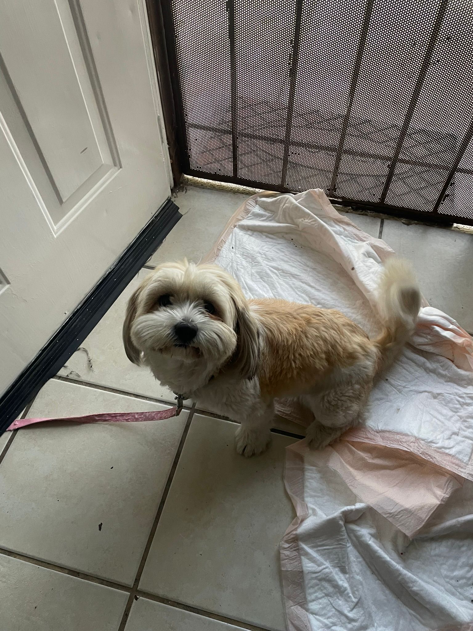 Foto de Muñeca con microchip 990000012838558
