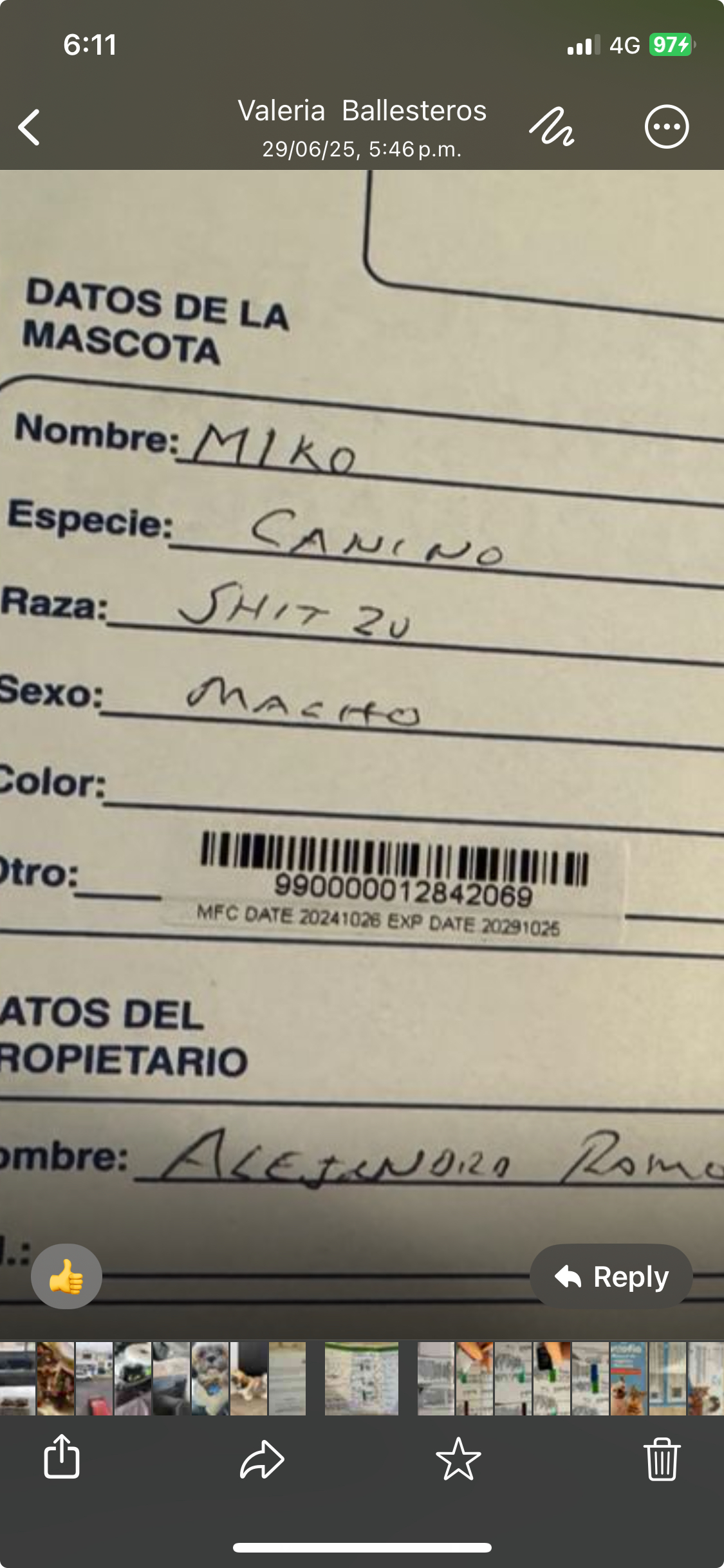 Foto de Miko con microchip 990000012842069