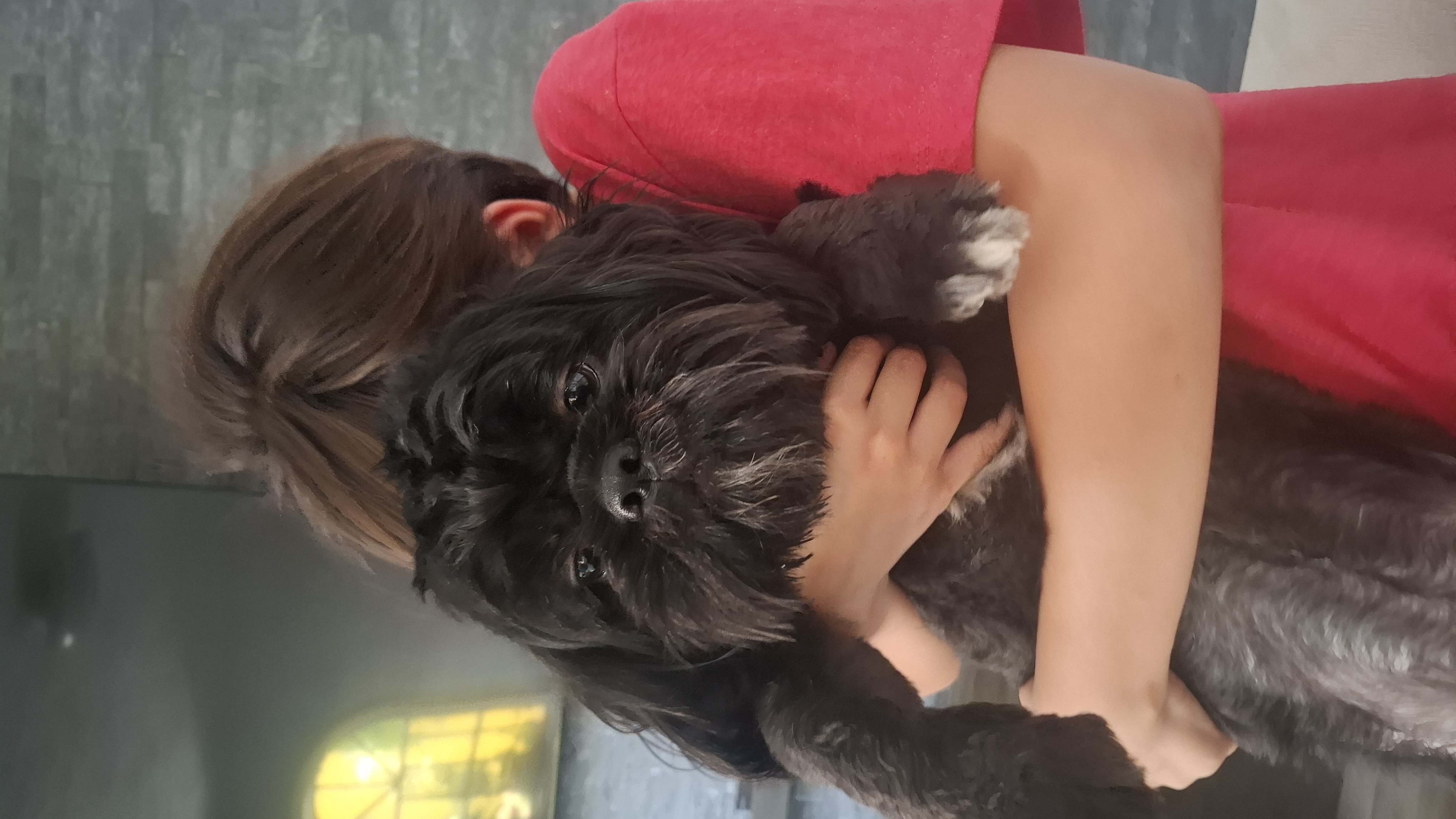 Foto de Negro con microchip 990000014109137