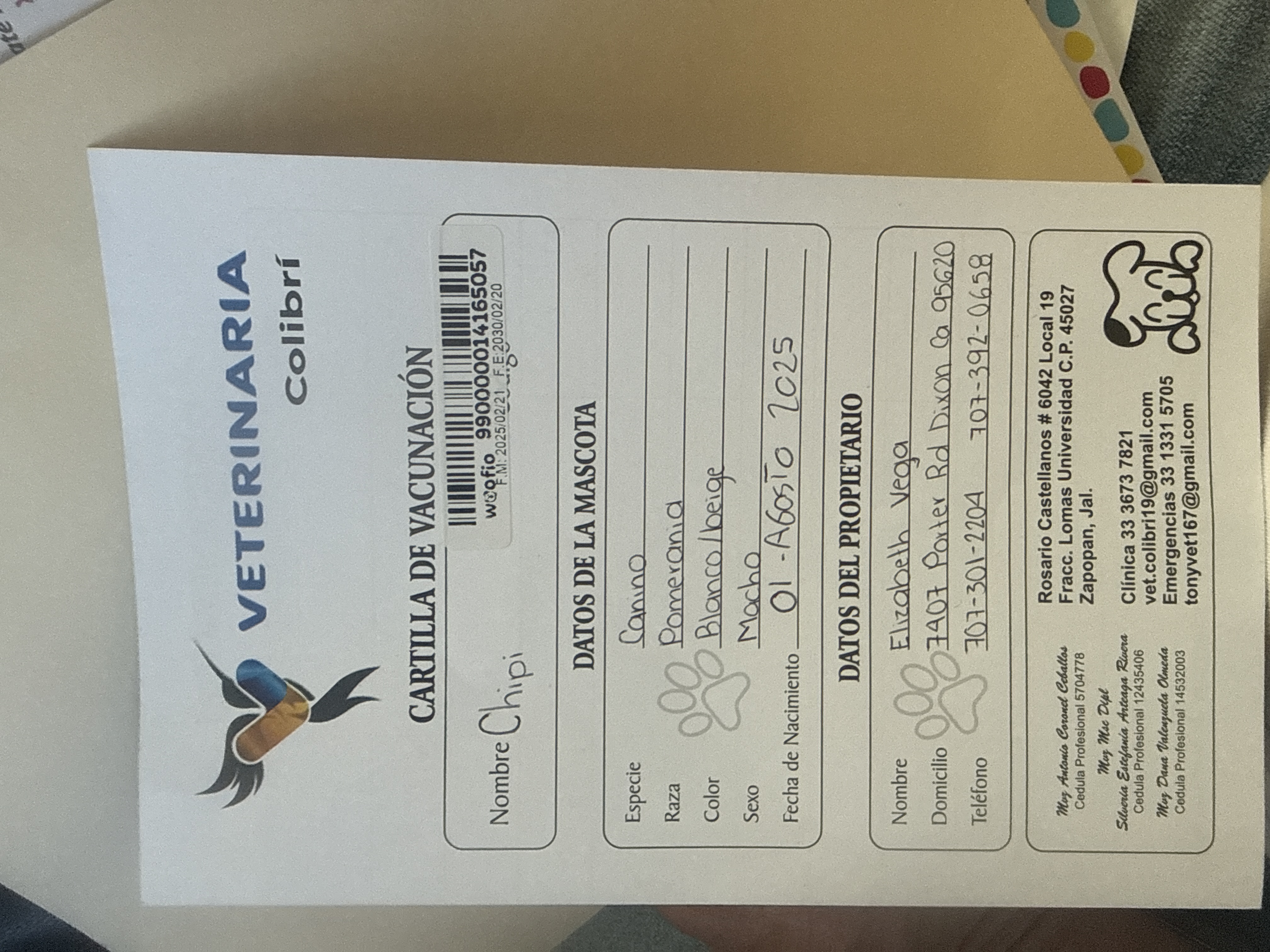 Foto de Chipi con microchip 990000014165057