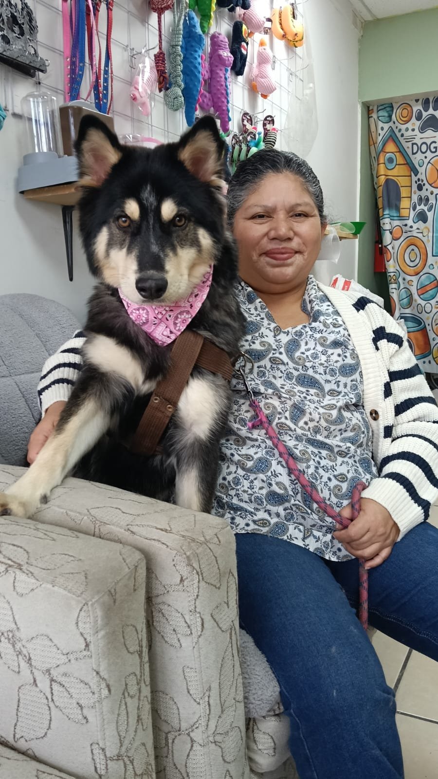 Foto de Luna con microchip 990000014776933