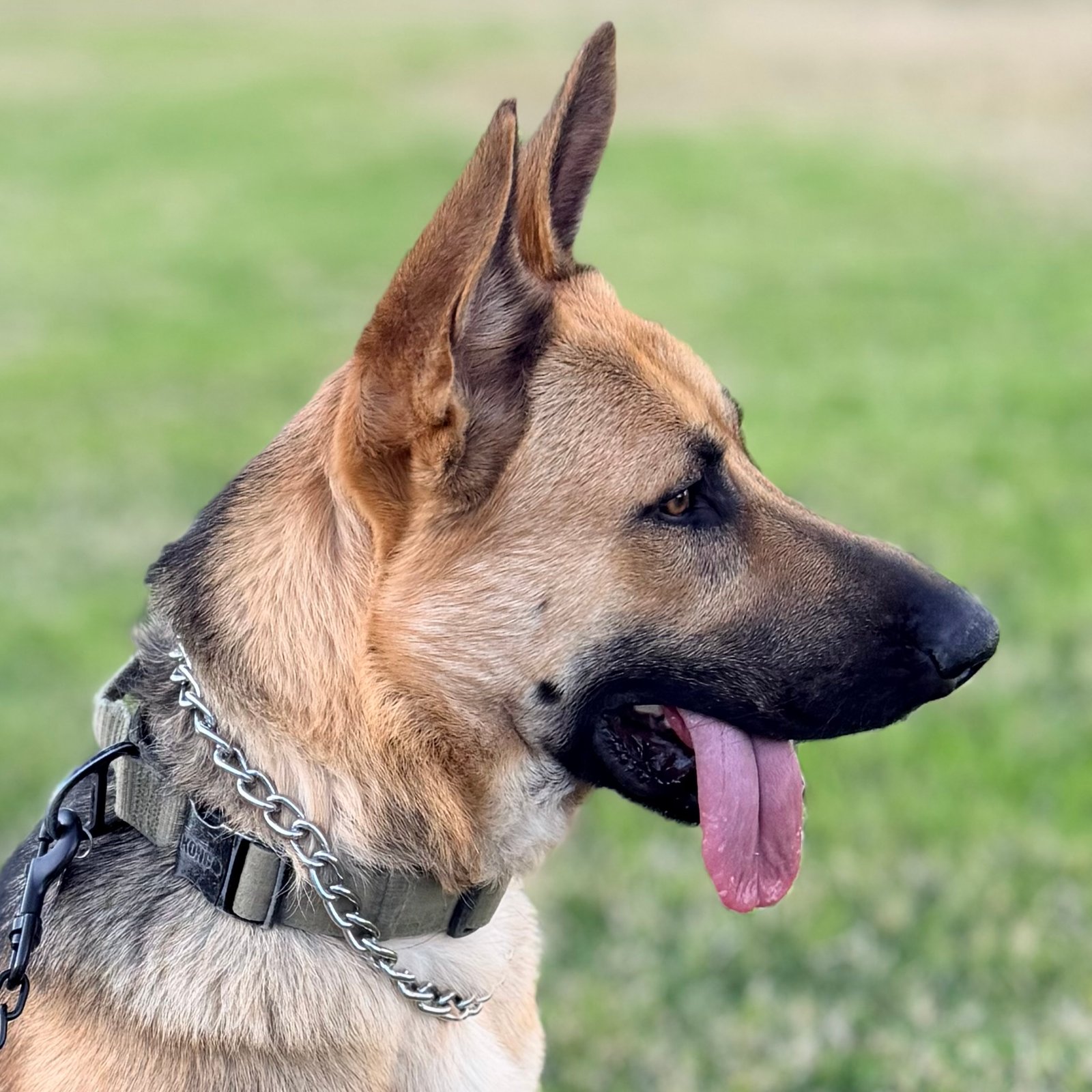 Foto de Kratos con microchip 990000012838542