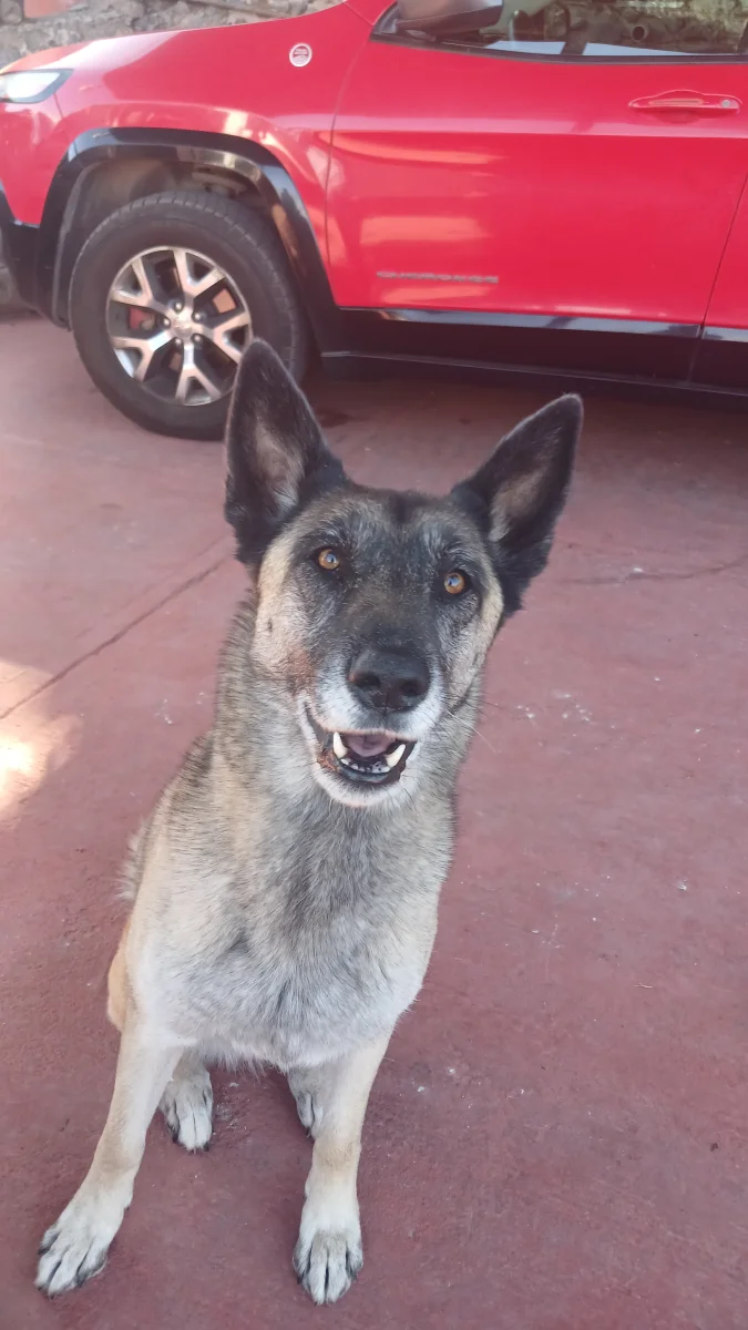 Foto de Muñeca con microchip 990000012834525
