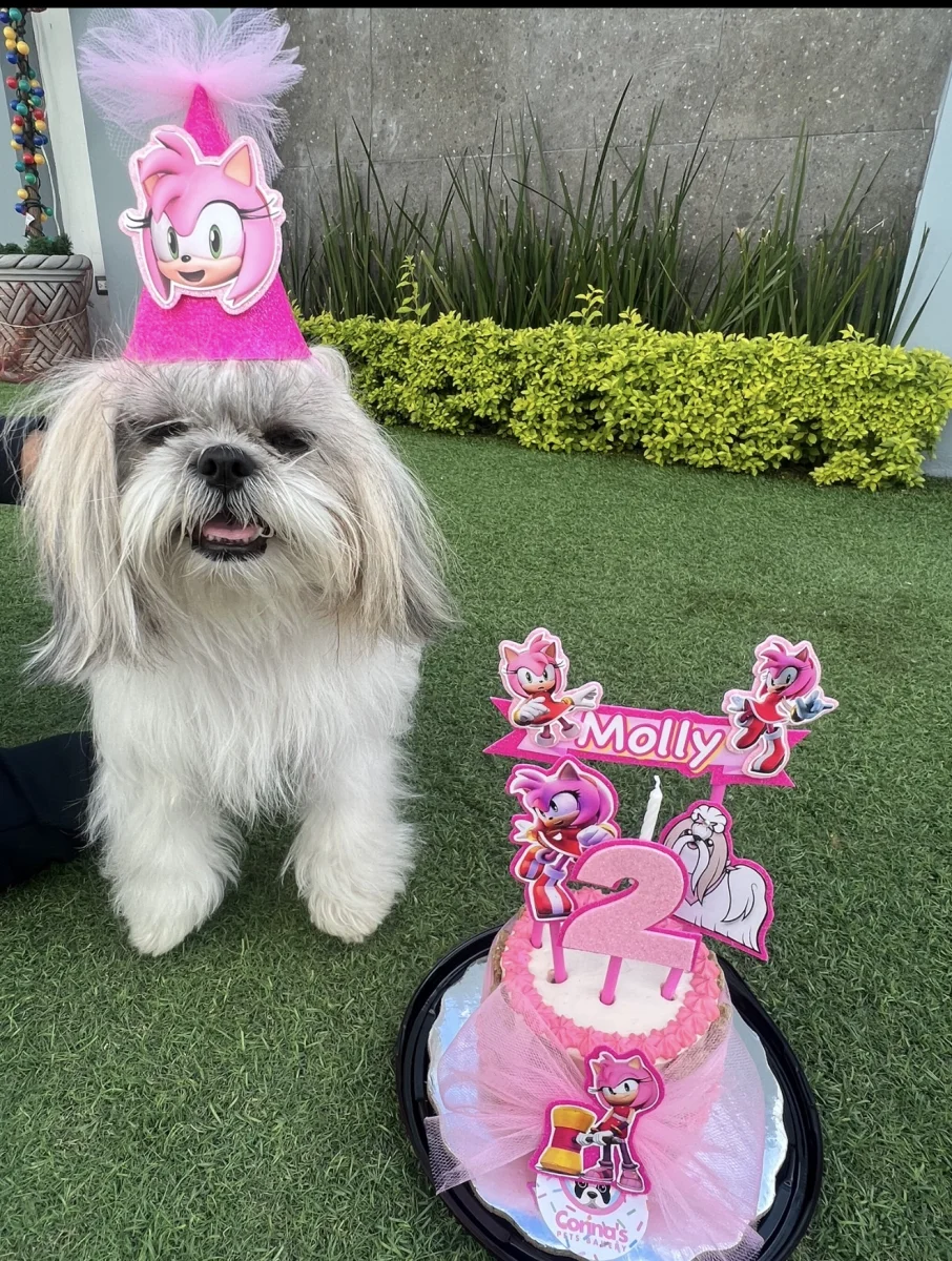 Foto de Molly Ramirez Camacho con microchip 990000014164061