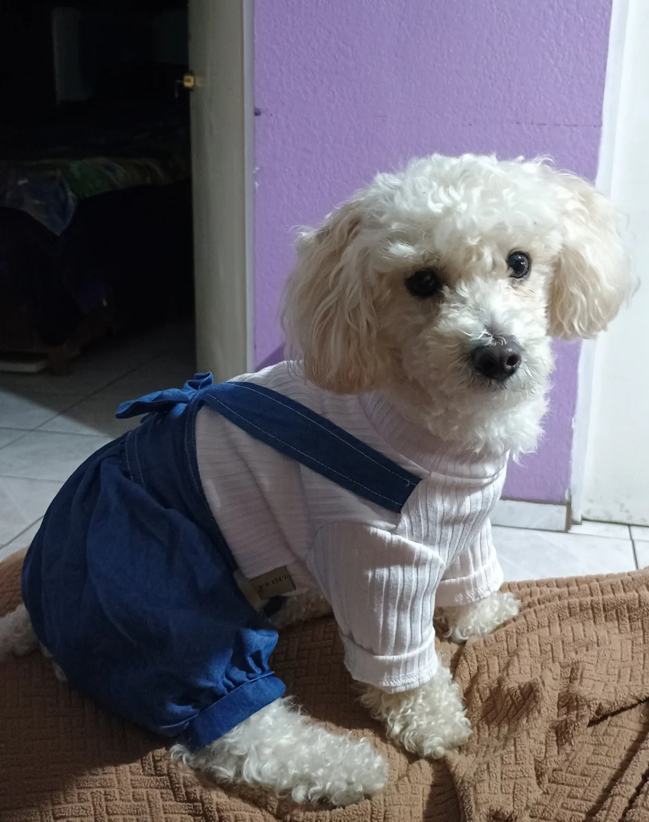 Foto de Nahla Avila con microchip 990000014110950